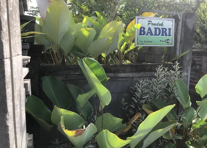 Badri 3* Ubud